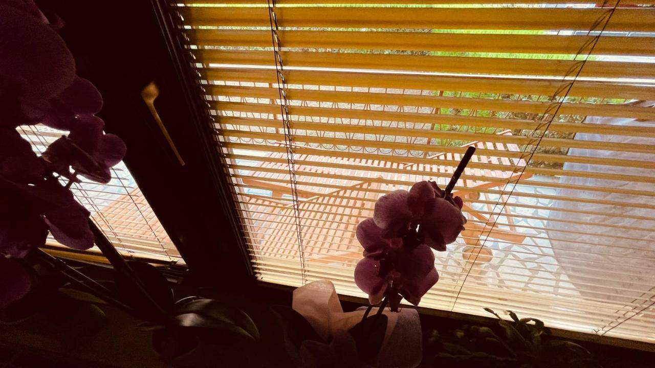 Appartamento The Secret Orchid Rovigno Esterno foto